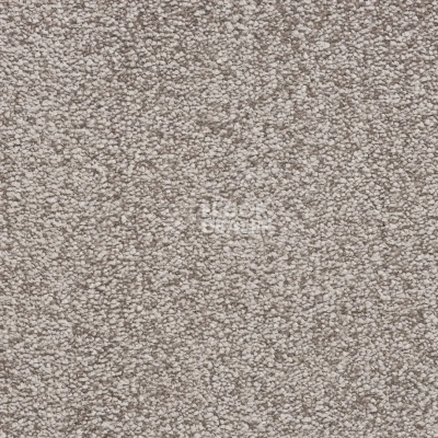 Ковролин Bonkeel Parliament Greige фото 1 | FLOORDEALER